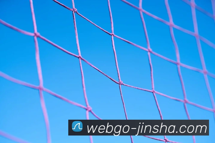 澳门金沙官网平台生态图